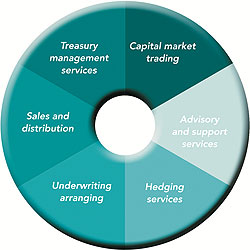 Specialised Treasury Services